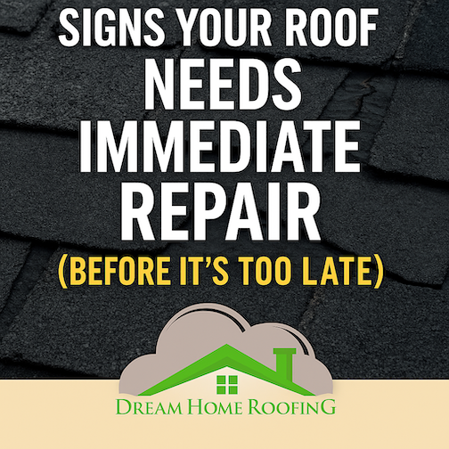 Emergency roof repair graphic showing roof damage warning signs with Dream Home Roofing logo